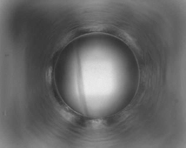 X0000071390118200606231322