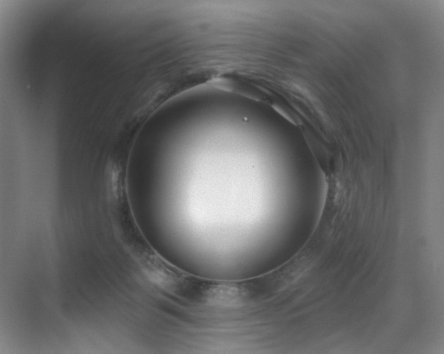 X0000071390123200606231322