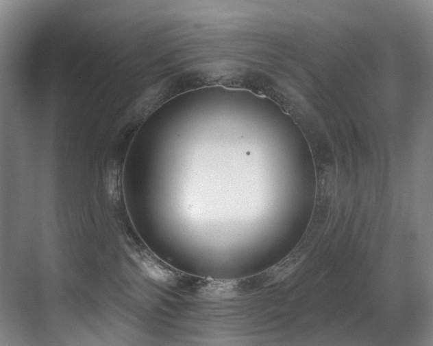 X0000071390138200606231321