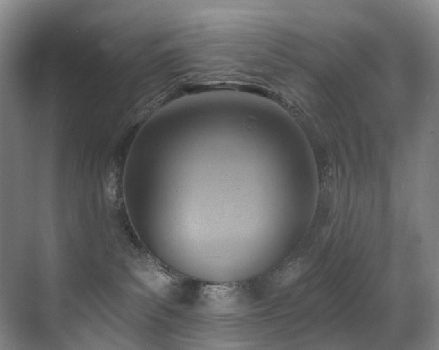 X0000071390139200606231321