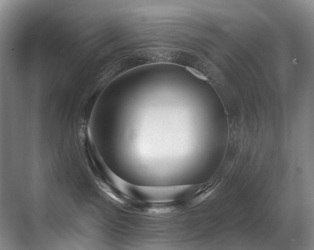 X0000071390141200606231321