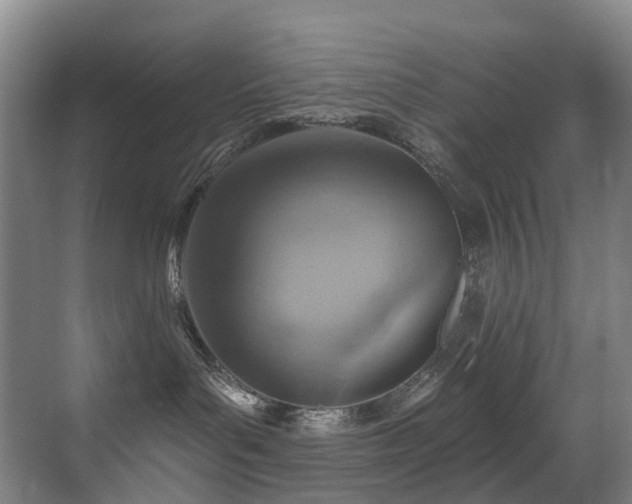 X0000071390143200606231321