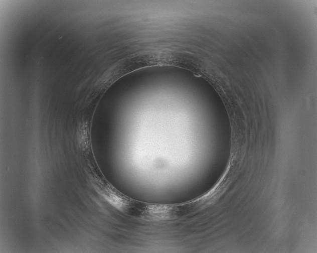 X0000071390144200606231321