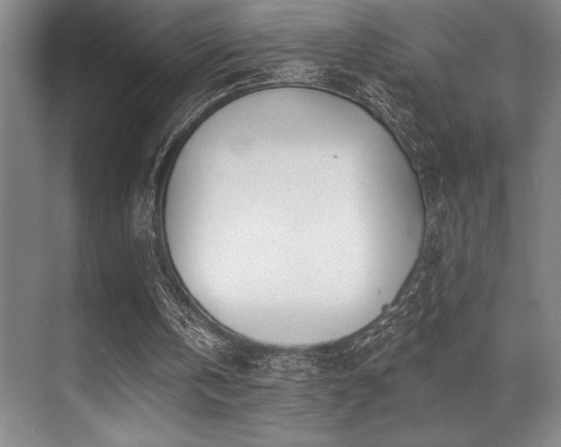 X0000071390146200606231320