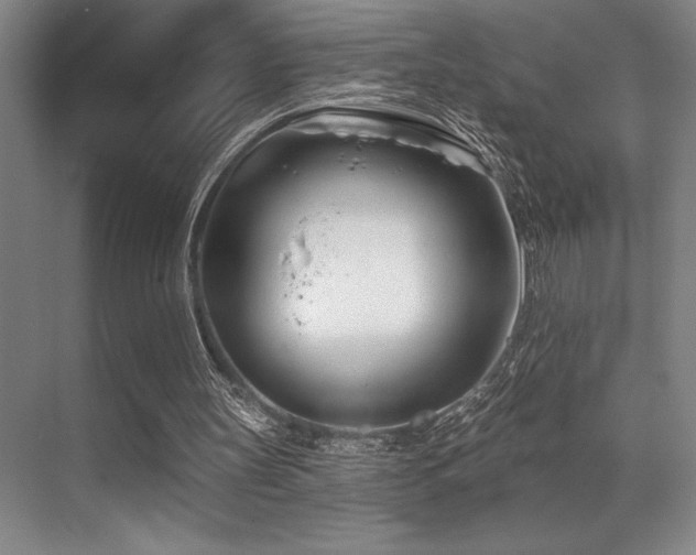X0000071390147200606231320
