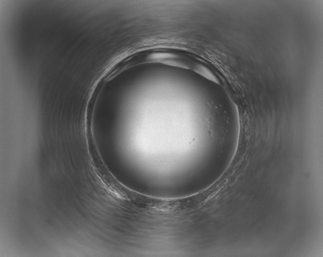 X0000071390148200606231320