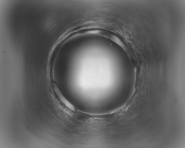 X0000071390150200606231321