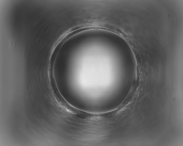 X0000071390152200606231321