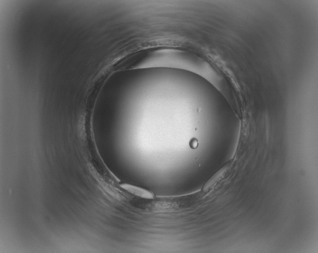 X0000071390154200606231321