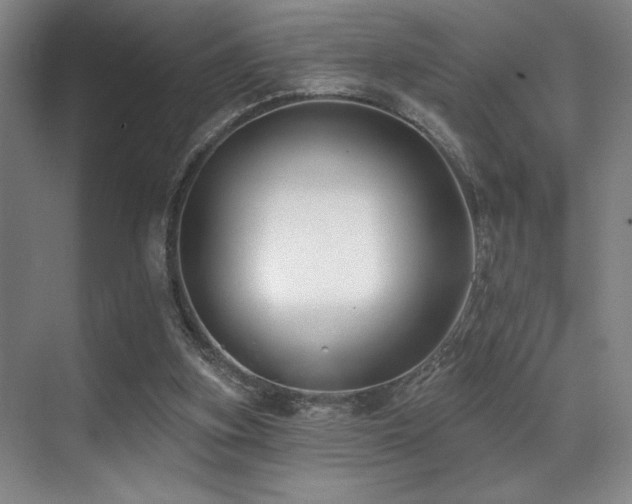 X0000071390155200606231321