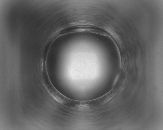 X0000071390157200606231321
