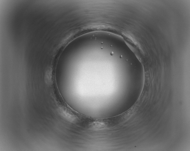 X0000071390159200606231321