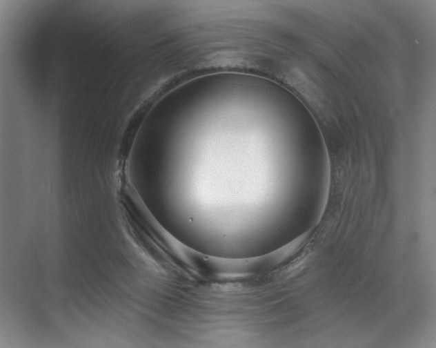 X0000071390160200606231321
