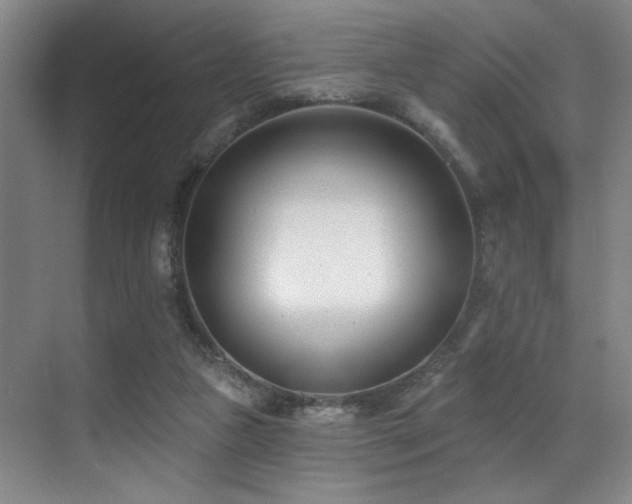 X0000071390161200606231321