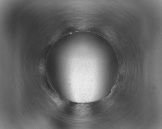 X0000071390179200606231321