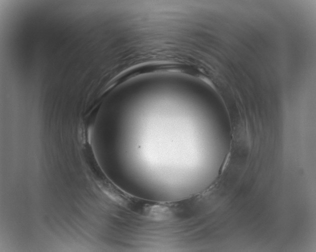 X0000071390180200606231321