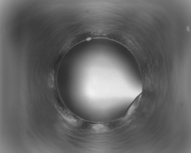 X0000071390183200606231321