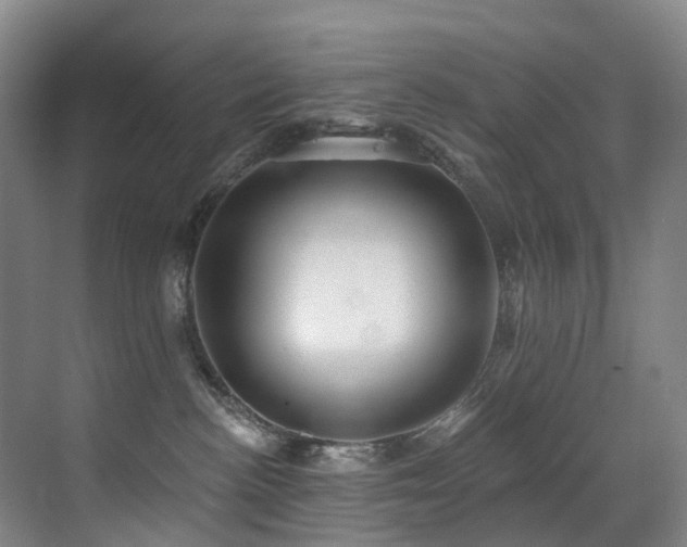 X0000071390188200606231321