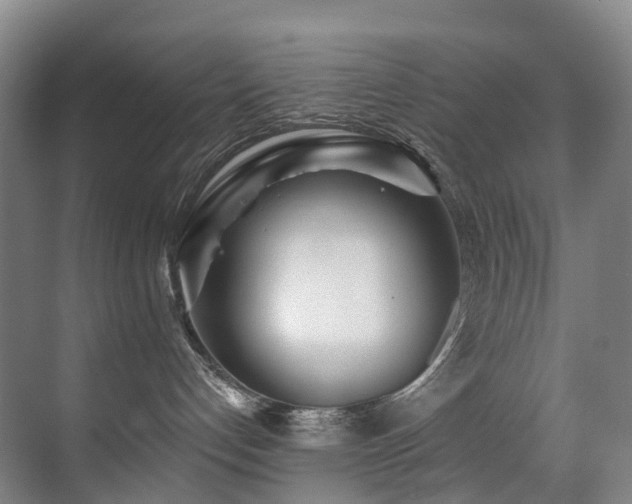 X0000071390192200606231321