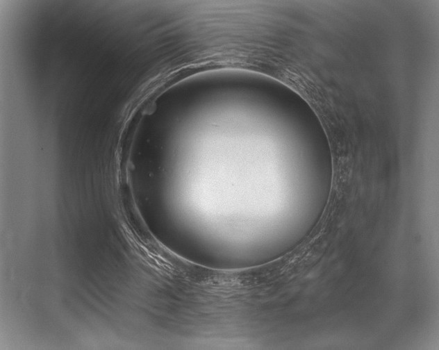 X0000071390194200606231320