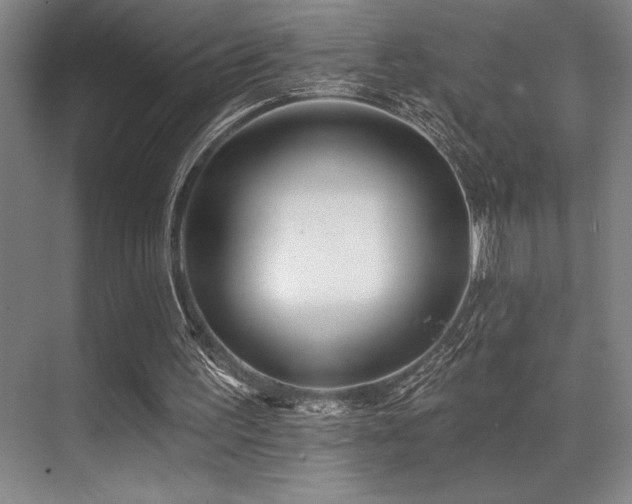 X0000071390195200606231320
