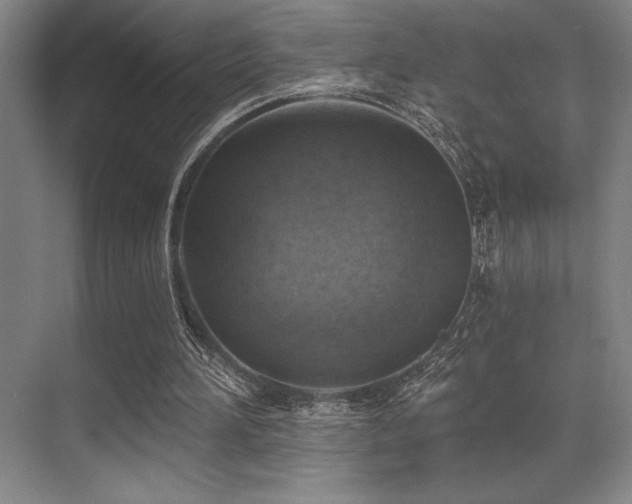 X0000071390196200606231320