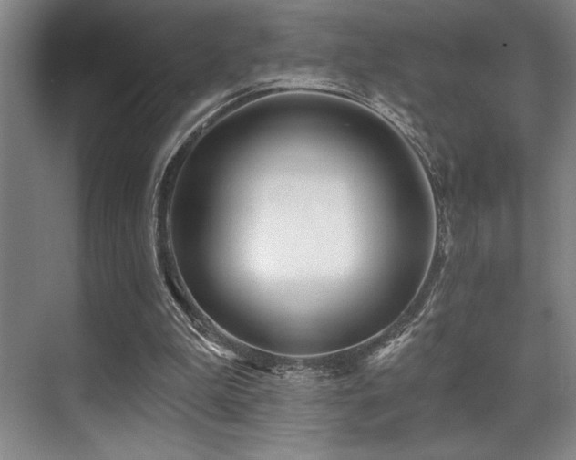 X0000071390199200606231320