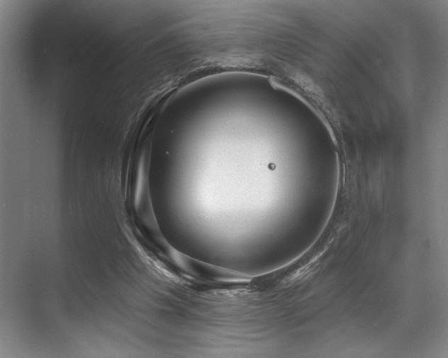 X0000071390201200606231320