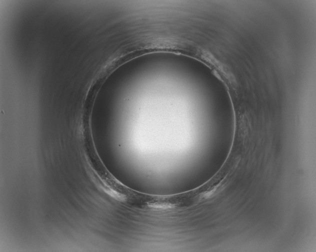X0000071390203200606231320