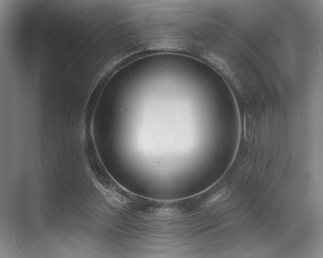 X0000071390204200606231320