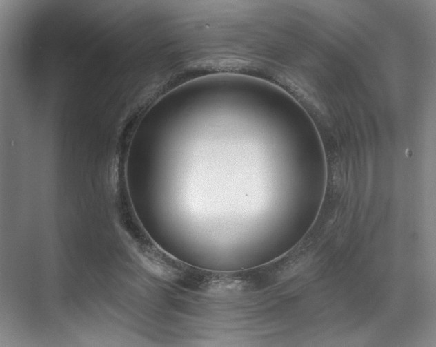 X0000071390206200606231320
