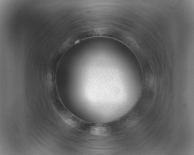 X0000071390220200606231320