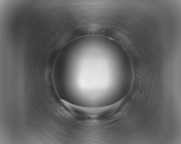 X0000071390225200606231320