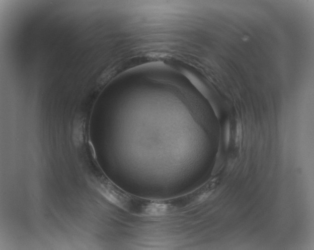 X0000071390227200606231320