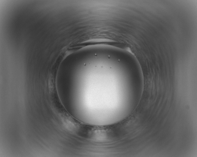 X0000071390228200606231320