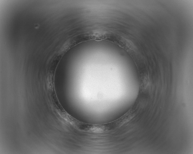 X0000071390236200606231320