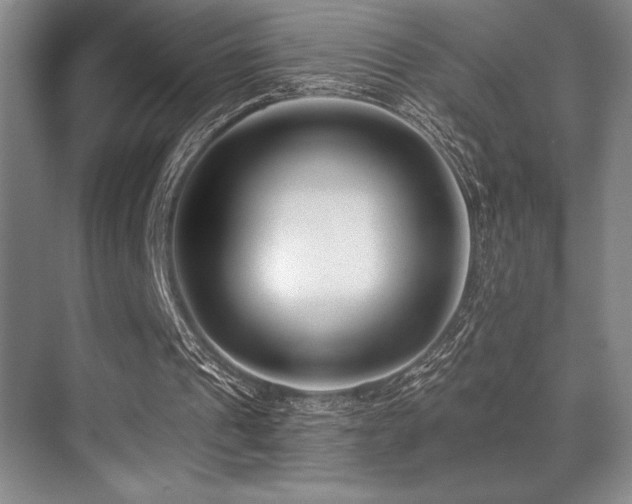 X0000071390241200606231319