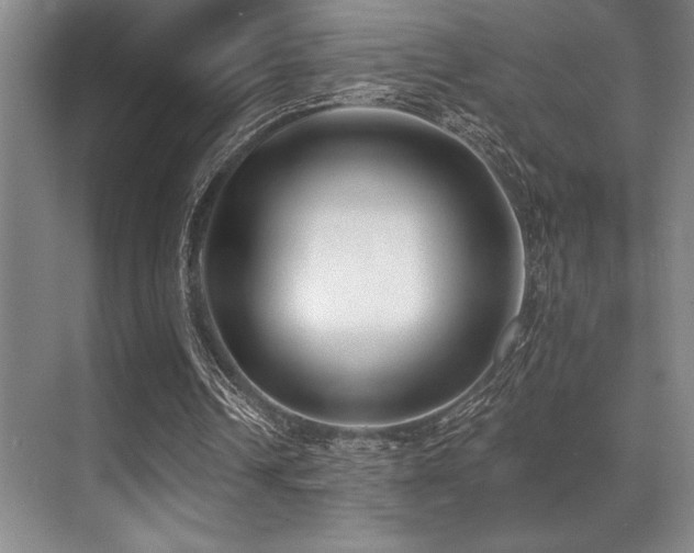 X0000071390242200606231319
