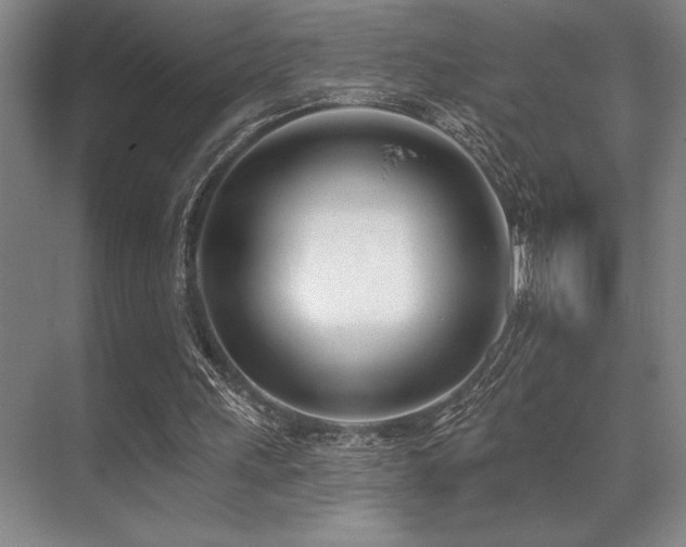 X0000071390243200606231319