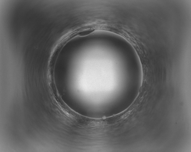X0000071390245200606231319