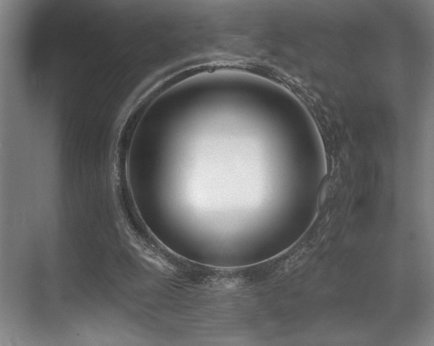 X0000071390247200606231319