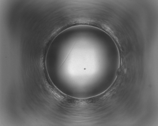 X0000071390249200606231319