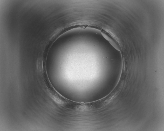 X0000071390253200606231319