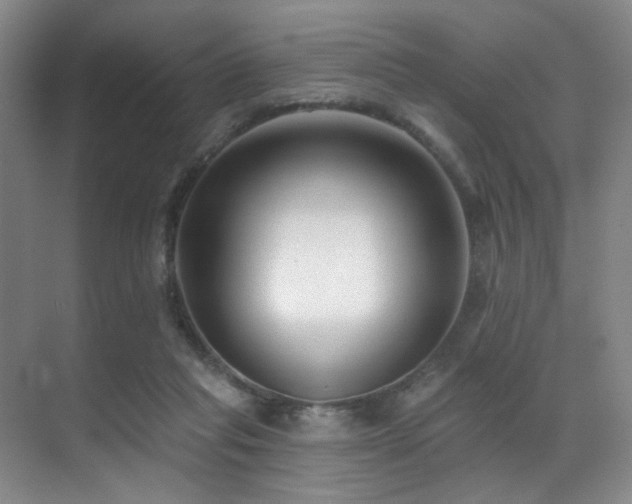 X0000071390261200606231319