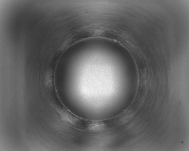 X0000071390274200606231319