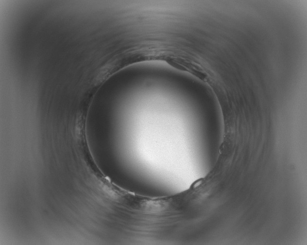 X0000071390277200606231319
