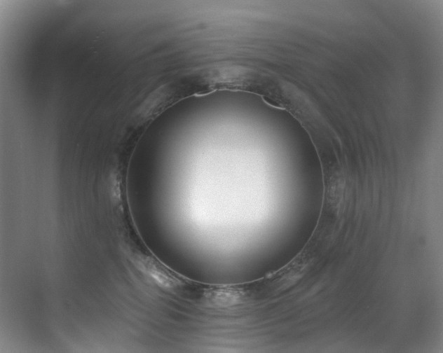 X0000071390282200606231320
