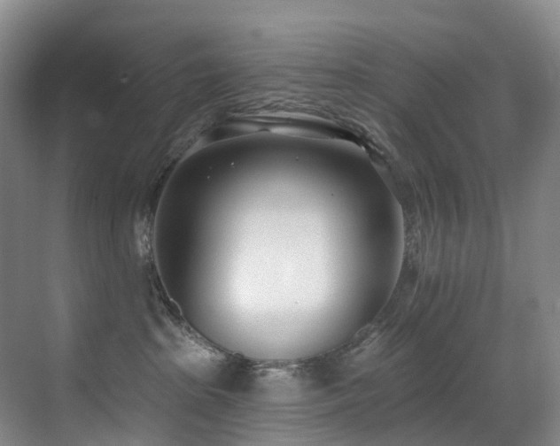 X0000071390285200606231320