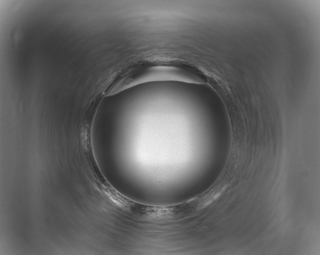 X0000071390288200606231320