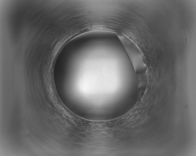 X0000071390289200606231319
